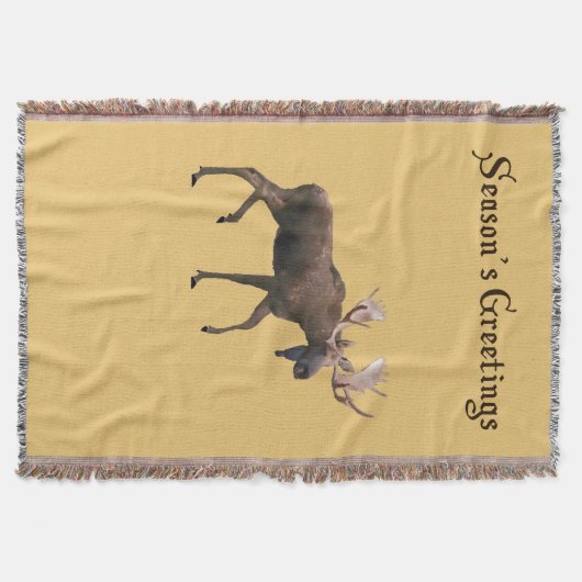 Bull Moose Decke (Vorderseite)