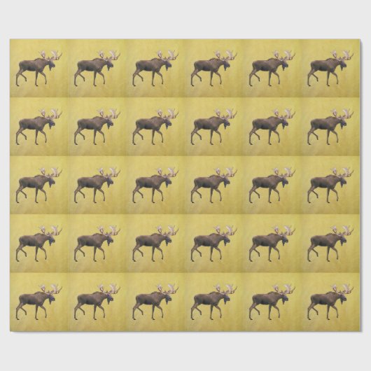 Bull Moose Geschenkpapier (Flach)