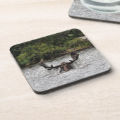 Bull Moose Getränkeuntersetzer (Linke Seite)