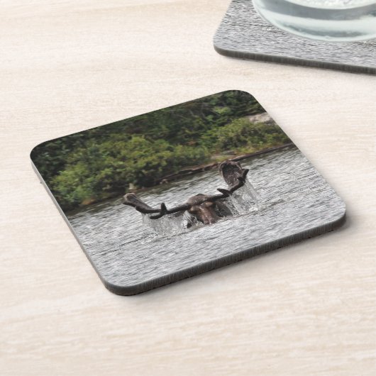 Bull Moose Getränkeuntersetzer (Linke Seite)