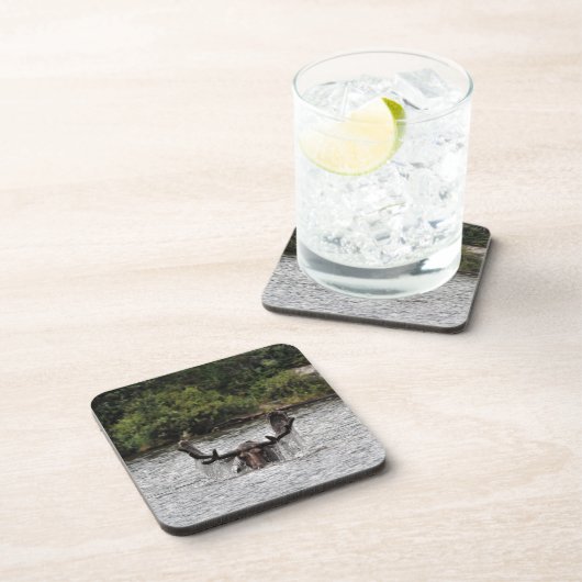 Bull Moose Getränkeuntersetzer (Rechte Seite)