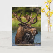 Bull Moose | Glacier Nationalpark Montana Karte (Gelbe Blume)
