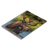 Bull Moose | Glacier Nationalpark Montana Notizblock (Linke Seite)