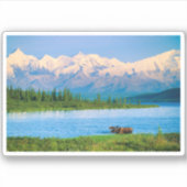 Bull moose in Wonder Lake Aufkleber (Vorderseite)