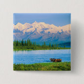 Bull moose in Wonder Lake Button (Vorderseite)