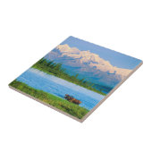 Bull moose in Wonder Lake Fliese (Seite)