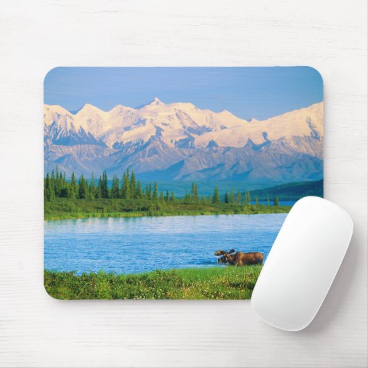 Bull moose in Wonder Lake Mousepad (Mit Mouse)