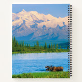 Bull moose in Wonder Lake Notizblock (Rückseite)
