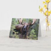 Bull Moose Karte (Gelbe Blume)