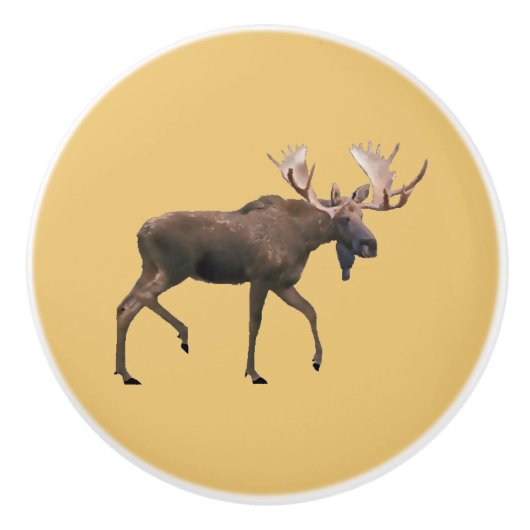 Bull Moose Keramikknauf (Vorderseite)