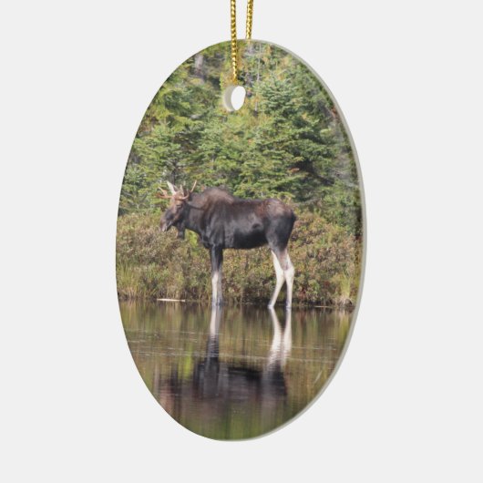 Bull Moose Keramikornament (Links)