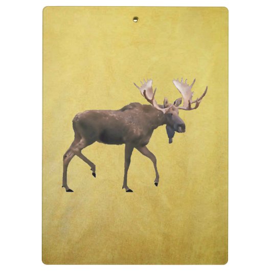 Bull Moose Klemmbrett (Rückseite)