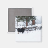 Bull Moose Magnet (Vorderseite/Rückseite)