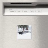 Bull Moose Magnet (In Situ (Geschirrspüler))