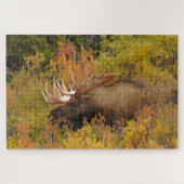 Bull Moose | Nationalpark Denali, Alaska Puzzle (Horizontal)