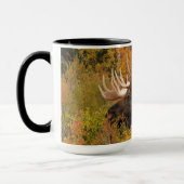 Bull Moose | Nationalpark Denali, Alaska Tasse (Links)