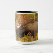 Bull Moose | Nationalpark Denali, Alaska Tasse (Zentrum)
