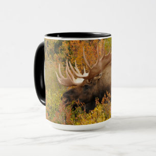 Bull Moose   Nationalpark Denali, Alaska Tasse