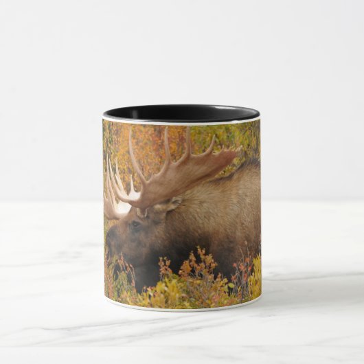Bull Moose | Nationalpark Denali, Alaska Tasse (Zentrum)