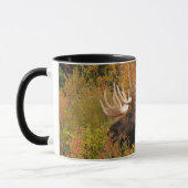 Bull Moose | Nationalpark Denali, Alaska Tasse (Links)