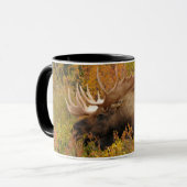 Bull Moose | Nationalpark Denali, Alaska Tasse (Vorderseite Links)