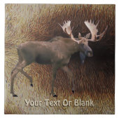 Bull Moose on Kariou Fur Fliese (Vorderseite)