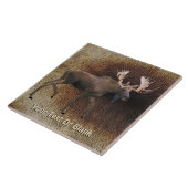 Bull Moose on Kariou Fur Fliese (Seite)