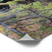 Bull Moose Poster (Ecke)