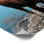 Bull Moose Poster Print (Ecke)