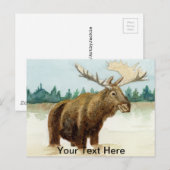 Bull Moose Postkarte (Vorne/Hinten)