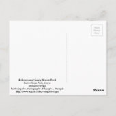 Bull Moose Postkarte (Rückseite)