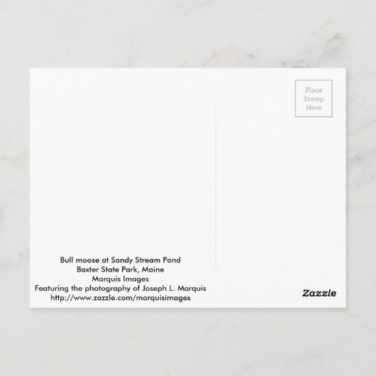 Bull Moose Postkarte (Rückseite)