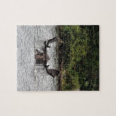 Bull Moose Puzzle (Horizontal)
