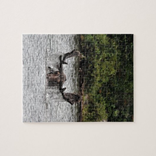 Bull Moose Puzzle (Horizontal)