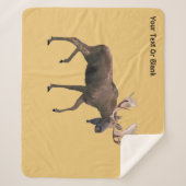 Bull Moose Sherpadecke (Vorderseite)