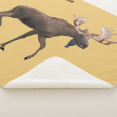 Bull Moose Sherpadecke (3/4)