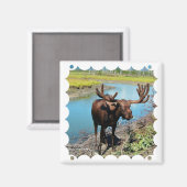 Bull Moose Square Magnet (Vorderseite/Rückseite)