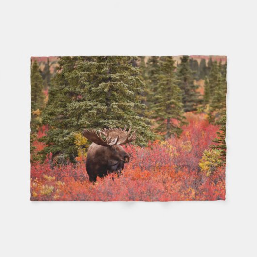Bull Moose Stehend Fleecedecke (Vorderseite (Horizontal))