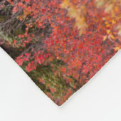 Bull Moose Stehend Fleecedecke (Ecke)