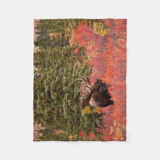 Bull Moose Stehend Fleecedecke (Vorderseite)