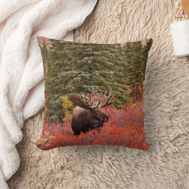 Bull Moose Stehend Kissen (Decke)