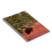 Bull Moose Stehend Notizblock (Rechte Seite)