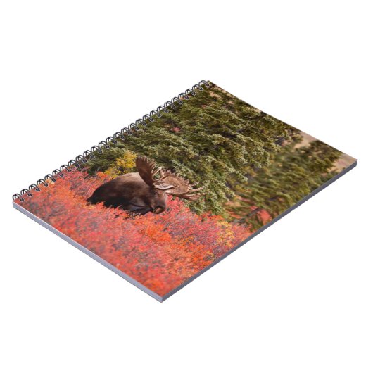 Bull Moose Stehend Notizblock (Linke Seite)