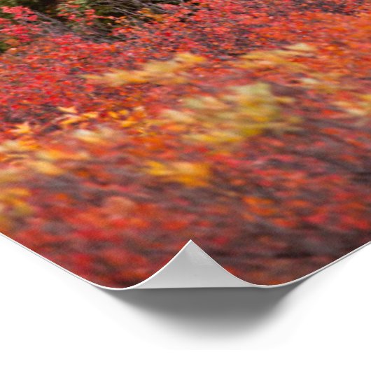 Bull Moose Stehend Poster (Ecke)