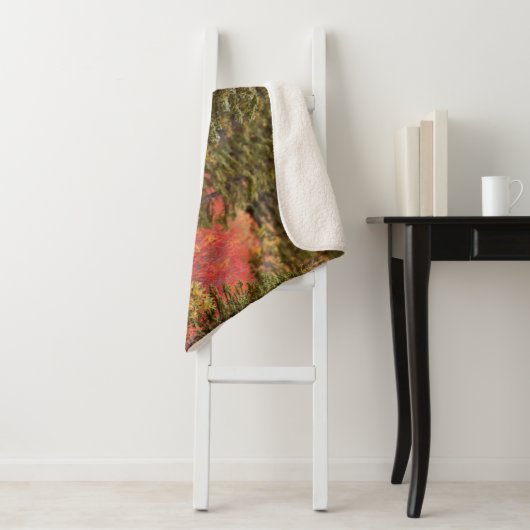 Bull Moose Stehend Sherpadecke (Beispiel)