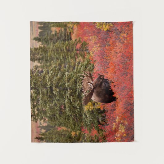 Bull Moose Stehend Wandteppich (Vorderseite)