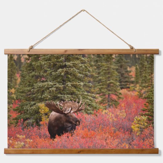 Bull Moose Stehend Wandteppich Mit Holzrahmen (Vorne)