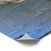 Bull Moose und der Berg Katahdin Poster (Ecke)