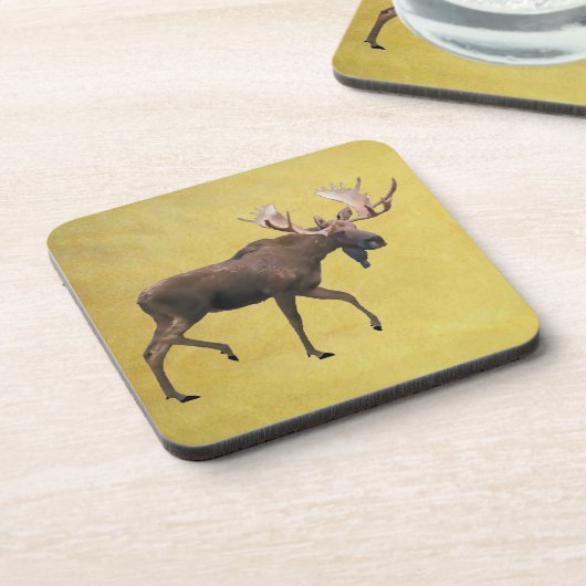 Bull Moose Untersetzer (Linke Seite)