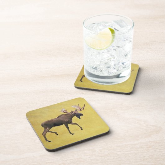 Bull Moose Untersetzer (Rechte Seite)